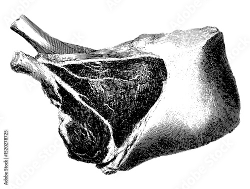 Vintage engraved illustration of a meat cut showcasing detailed textures and shapes in a classic design from a bygone era