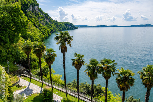 palm trees with view at the Lago Maggiore