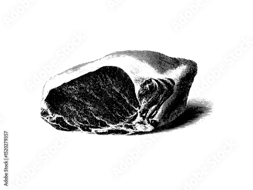 Vintage engraved illustration of a natural rock showcasing detailed textures and contours, part of a unique collection
