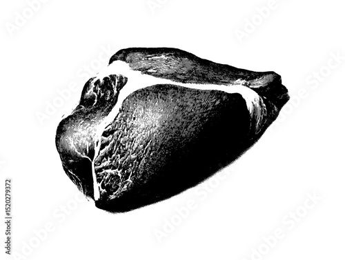 Vintage emblem featuring an intricately engraved illustration of a meat cut, highlighting the art of craftsmanship and design