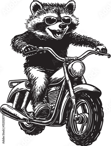 vector illustration of cartoon Raccoon