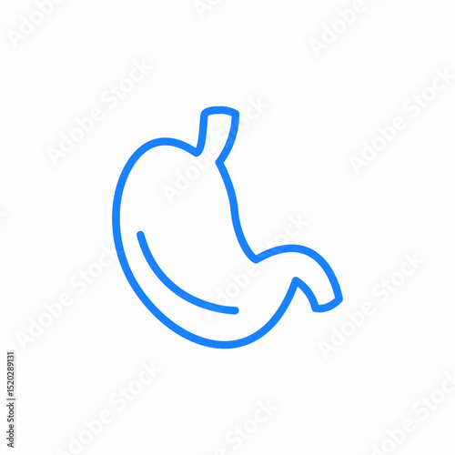human stomach icon sign vector