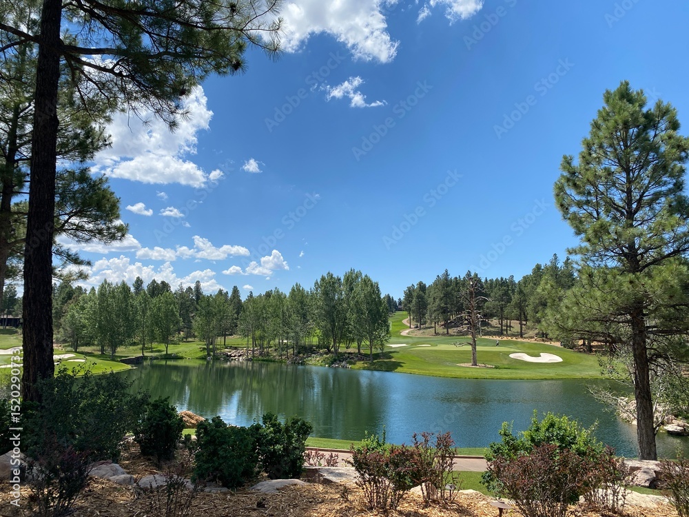 Obraz premium lake and forest