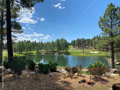 lake in the forest