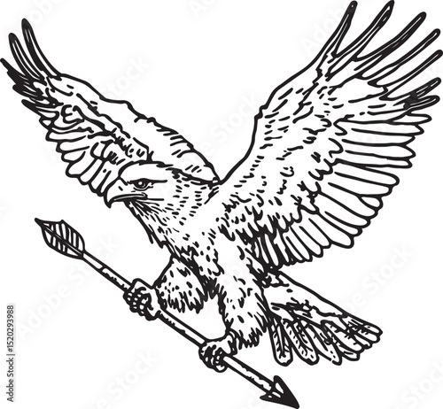 eagle vector illustration