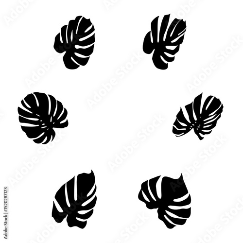 Monstera leaf black and white vector_01