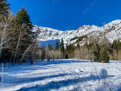 snow covered mountains