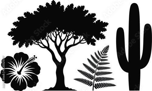 Vector illustration of a palm tree silhouette, a natural design with decorative leaves and branches