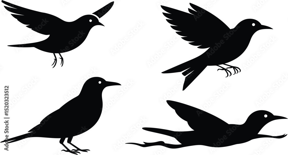 Obraz premium Four black bird silhouettes in various poses against a white background in a vector illustration