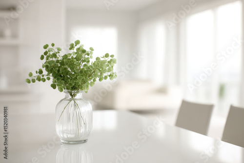 serene minimalist interior design featuring stylish green plant as focal point on clean ultrabright background