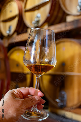 Visit of wine cellar with old large oak barrels, hand holding glass of fortified dry or sweet tasty marsala wine from barrels in Marsala, Sicily, Italy