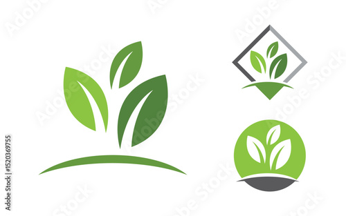 Eco Tree leaf Green nature element vector design v.6