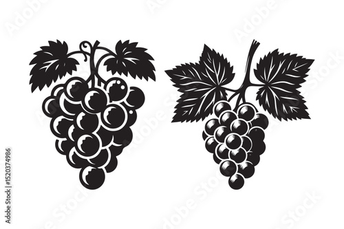 Vintage Grape Bunch Illustration Black and White Clipart
