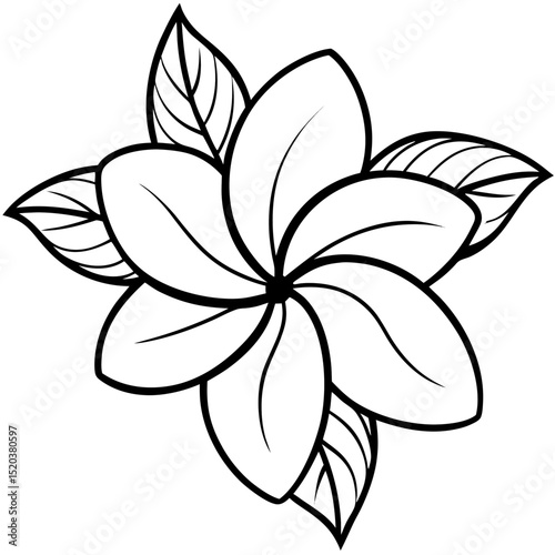 Balinese Frangipani Vector on White