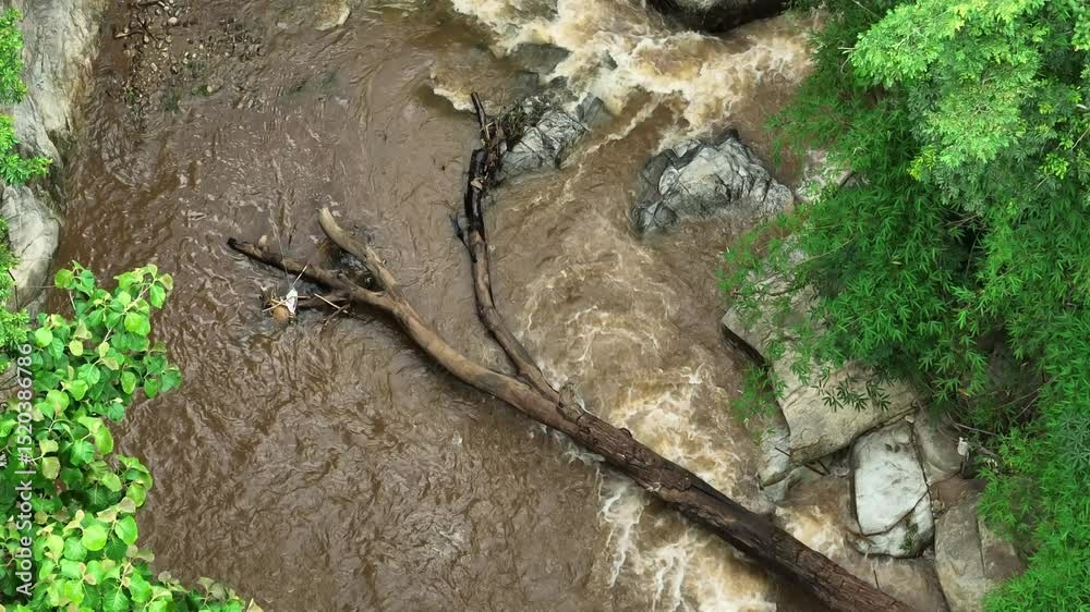 Aerial perspective captures floodwaters coursing through a dense rainforest, highlighting the rich greenery and vital ecosystem functions supported by this natural environment. Thailand.
