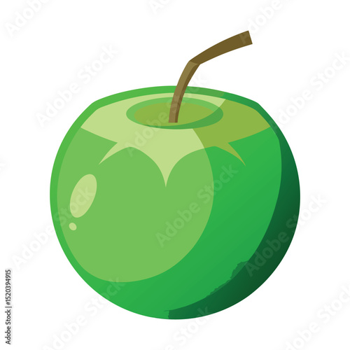palm coconut tree icon vector art