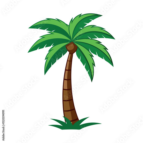 palm coconut tree icon vector art