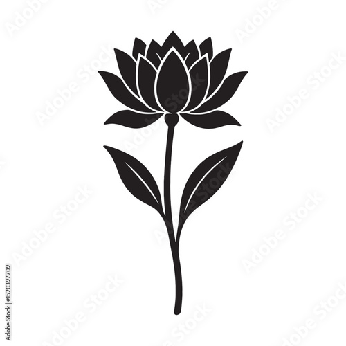 Serene Lotus Flower Elegant Line Art Design, Botanical Illustration