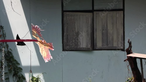 Rustic window facade with traditional bird kite on backyard