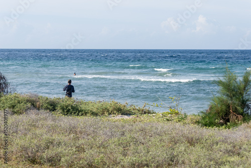 East Sumba, Indonesia – 06. 01. 2025 – Along Sumba's sun scorched shores, grasses sway and shimmer a vision so soothing, it feasts the eyes