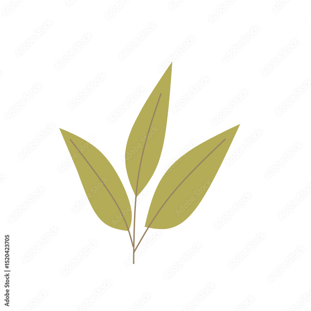 Fototapeta premium Set of autumn leaves from different trees, oak, maple, chestnut. Simple, yellow, red, orange fall leaf set for pattern, banner, sticker, Hello autumn card. Flat vector illustration on white background