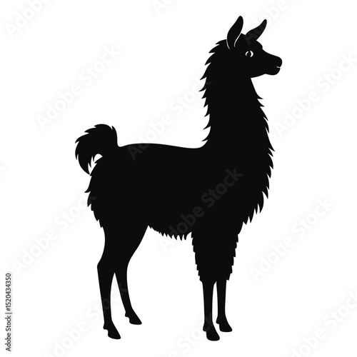 Elegant black silhouette of a llama standing proudly against a clean white background