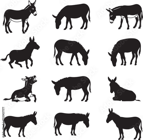 Donkey Silhouette Collection Vector Farm Animal Graphics