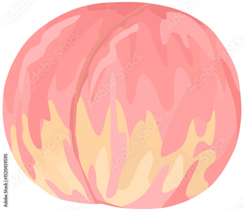 桃のイラスト ベクター素材