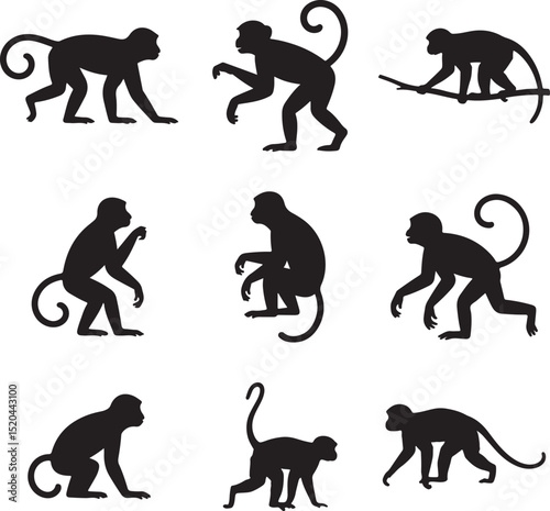 Monkey Silhouette Set Jungle Primate Vector Graphics