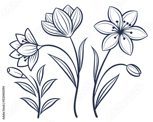 Elegant vector illustration of hand drawn line art flowers in a botanical and artistic composition.
