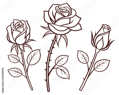 Elegant outline illustrations of three different rose flowers with leaves and thorns in vector design.