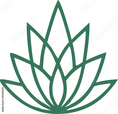 Stylized aloe vera plant illustration in green.