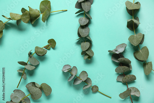 Green eucalyptus branches o...