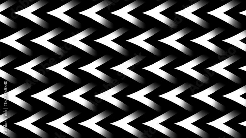 Elegant Seamless Black and White Pattern
