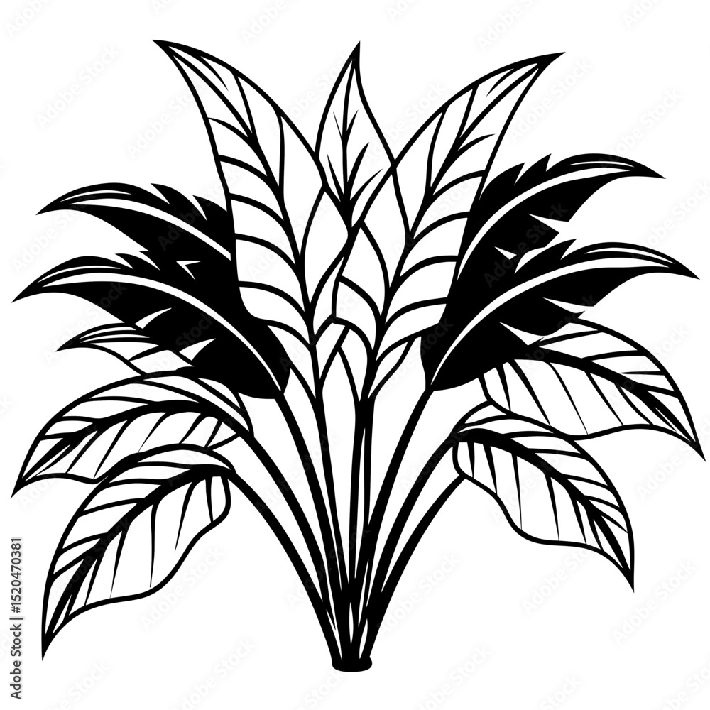 Obraz premium Simple Tropical Leaf Set – Vector on White