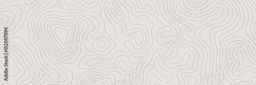 Topographic Map Pattern with Light Gray Contour Lines on White Background Creating Organic, Flowing Hill and Valley Shapes


