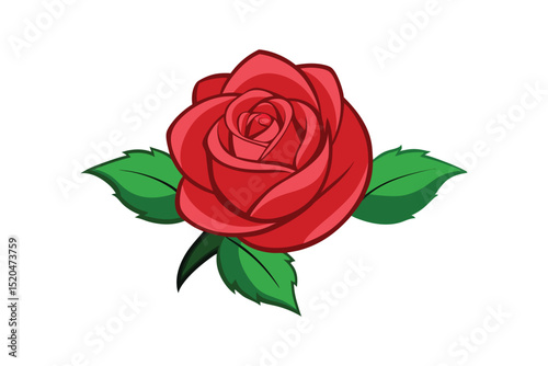 Single red rose vector illustration isolated on white background