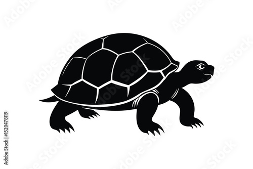 turtle animal silhouette vector illustration isolated on white background