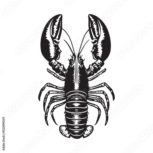 Lobster vector image. Illustration of fresh lobster vector design on white background.