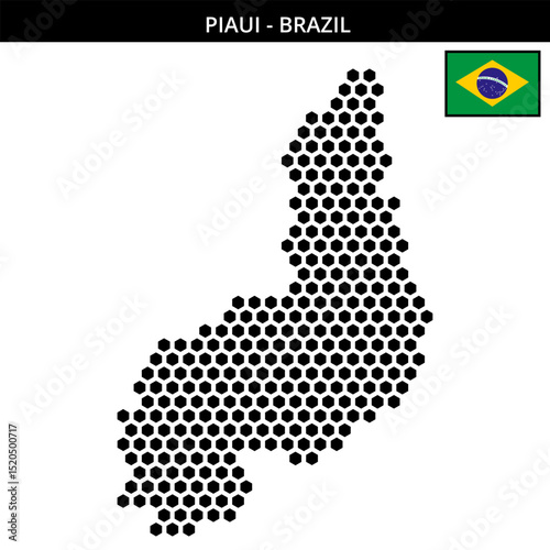 Big hexagonal dotted map of piaui in Brazil photo
