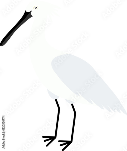 stork