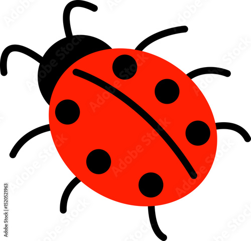 Black red spider
