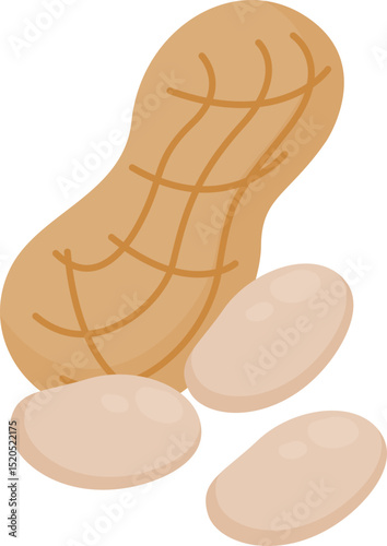Organic Peanut with Nut Shell