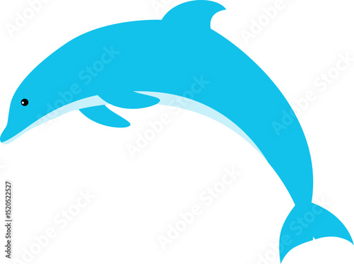 dolphin