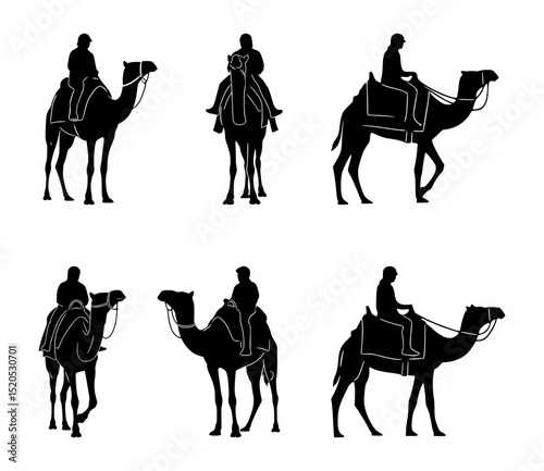 camel rider silhouette set, isolated background