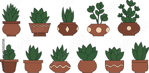 Succulent Plants in Decorative Pots Vector Illustration with Green Brown Colors Indoor Garden 