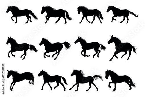 horse silhouettes