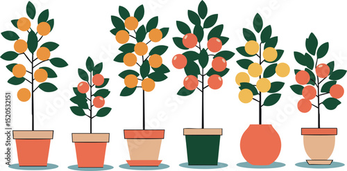 Orange and yellow fruit trees in pots vector illustration with green leaves in row 