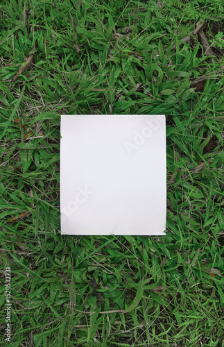 A single piece of blank white paper centered on a bed of fresh green grass, perfect for text or design.