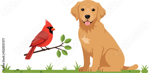 Golden retriever dog sitting near red cardinal bird on green grass vector illustration 
